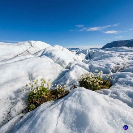 White Ice & Blue sky – Soft & Relax Instrumental